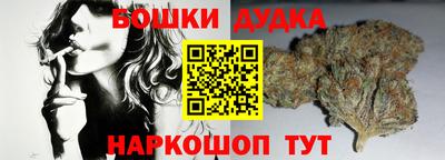 гашик Малоярославец