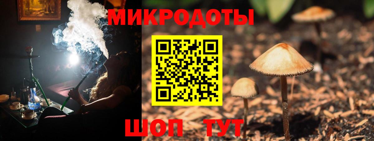 Галлюциногенные грибы Cubensis Бийск